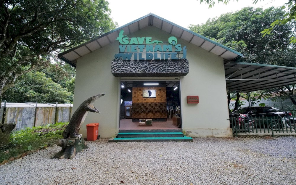 Wildlife rescue center, a place to preserve rare animals from the risk of extinction or hunting